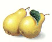 Williams Pears